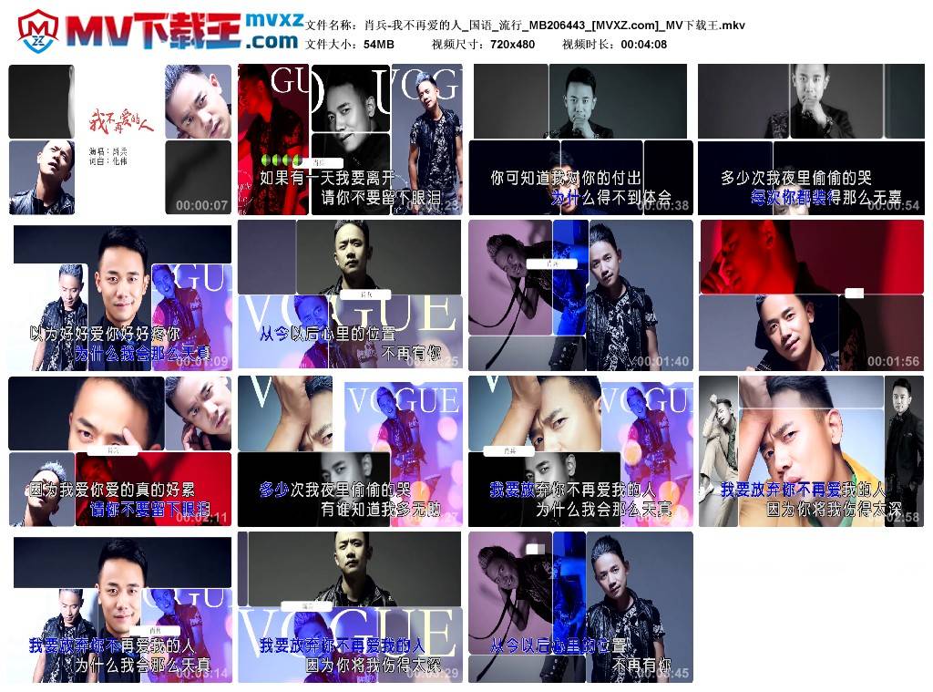 肖兵-我不再爱的人_国语_流行_MB206443